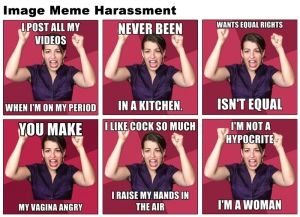 Anita sarkeesian meme 800X579 jpeg