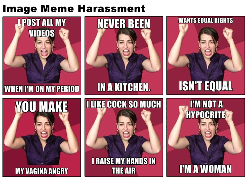 Anita sarkeesian meme full size