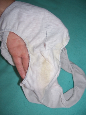 My aunt s dirty panties 960X1280 jpeg