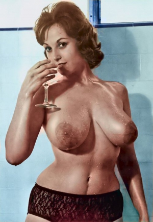 Big tits hourglass figure nude 500X726 jpeg
