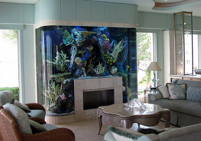 Fireplace fish tank full size