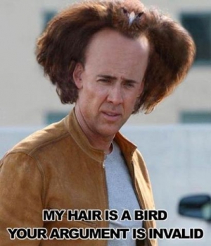 Nicolas cage my hair is a bird 410X478 jpeg