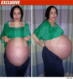 Octomom pregnant 550X590 jpeg