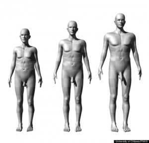 Men with big penis 570X548 jpeg