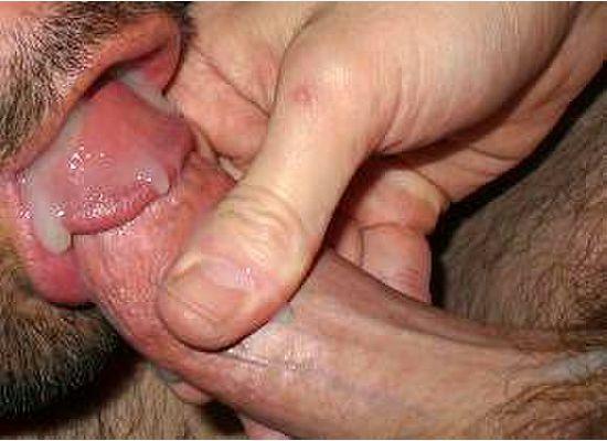 Cum inside gay ass full size