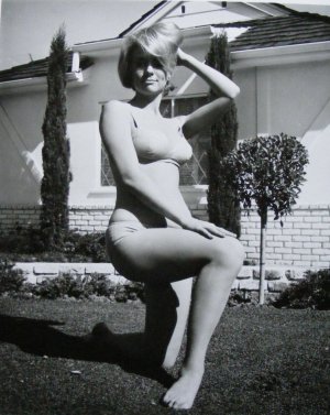 Inger stevens 960X1207 jpeg