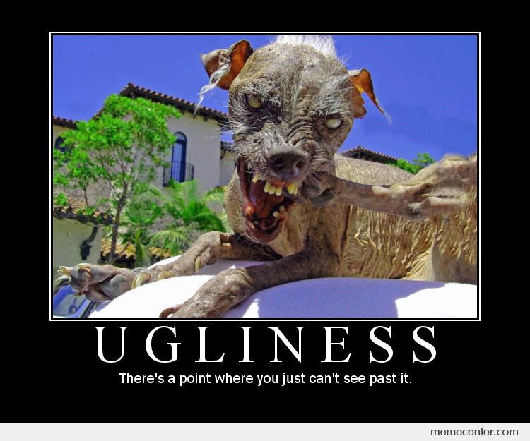 Ugly cute dogs memes full size