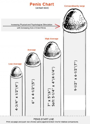 Average male penis size chart 525X724 jpeg