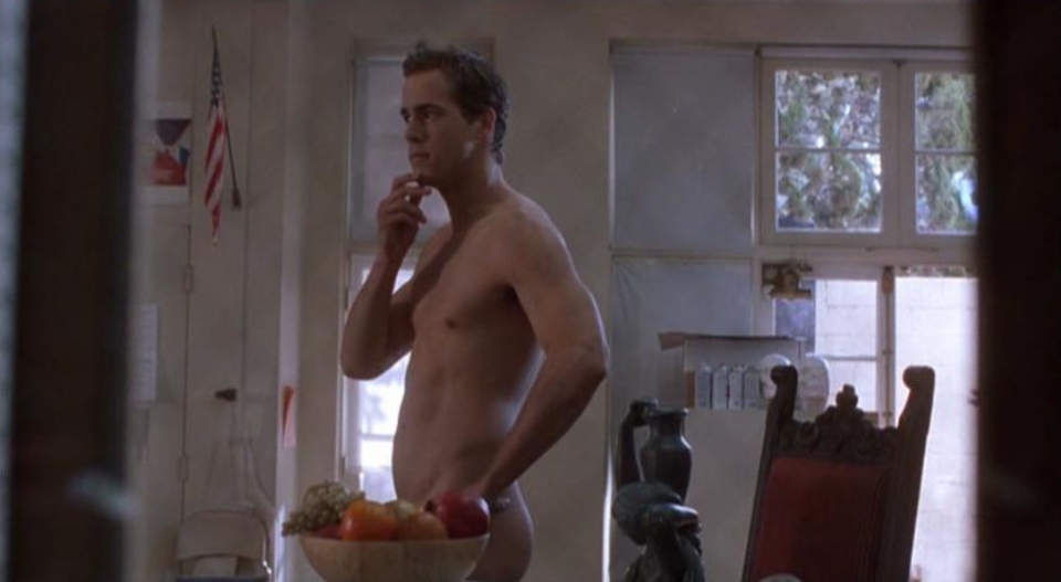 Ryan reynolds van wilder nude full size