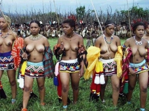 South african reed dance girls 537X402 jpeg