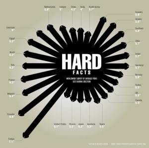 Average male penis size 640X637 jpeg