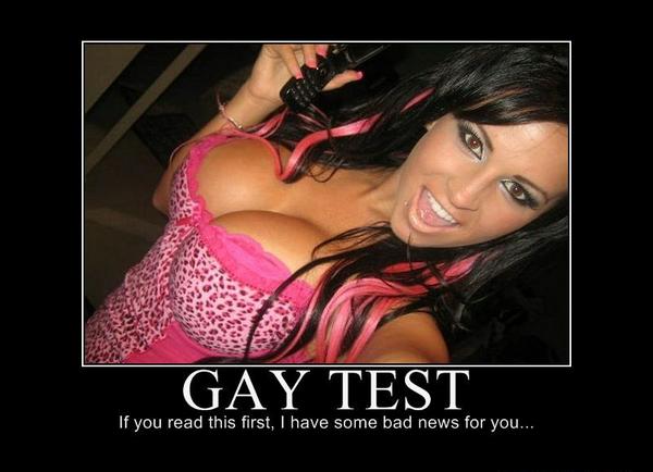 Gay test meme full size