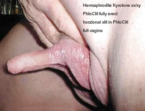 Hermaphrodite huge clit 800X615 jpeg