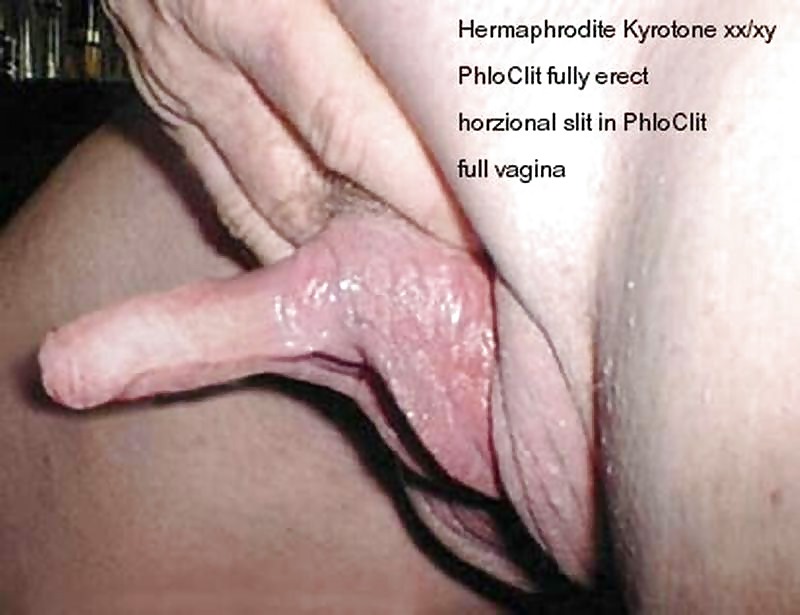 Hermaphrodite huge clit full size