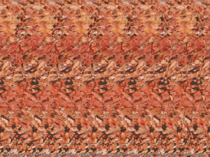 Hidden 3d images stereograms naked 960X720 jpeg