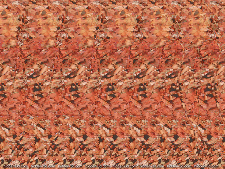 Hidden 3d images stereograms naked full size