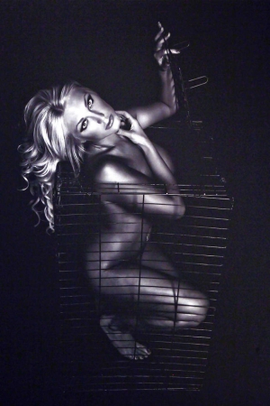 Brooke hogan naked 853X1280 jpeg