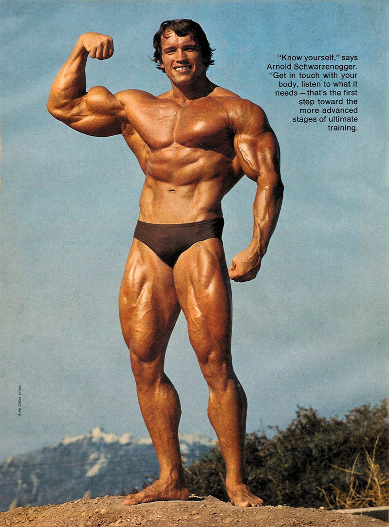 Arnold schwarzenegger full size