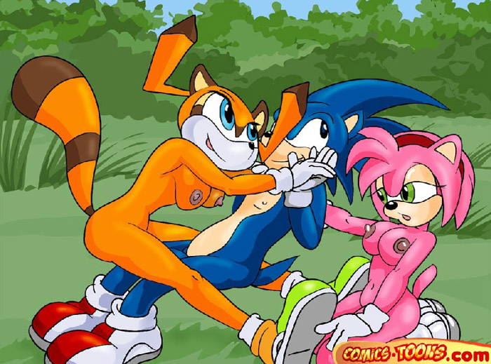 Gay sonic porn comics full size