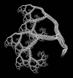 Cholla cactus skeleton 576X617 jpeg