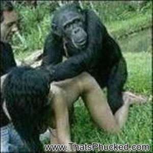 Monkey fucks girls pussy 550X550 jpeg