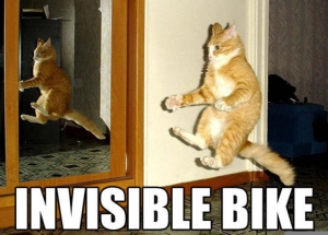 Funny cats invisible bike 720X518 jpeg
