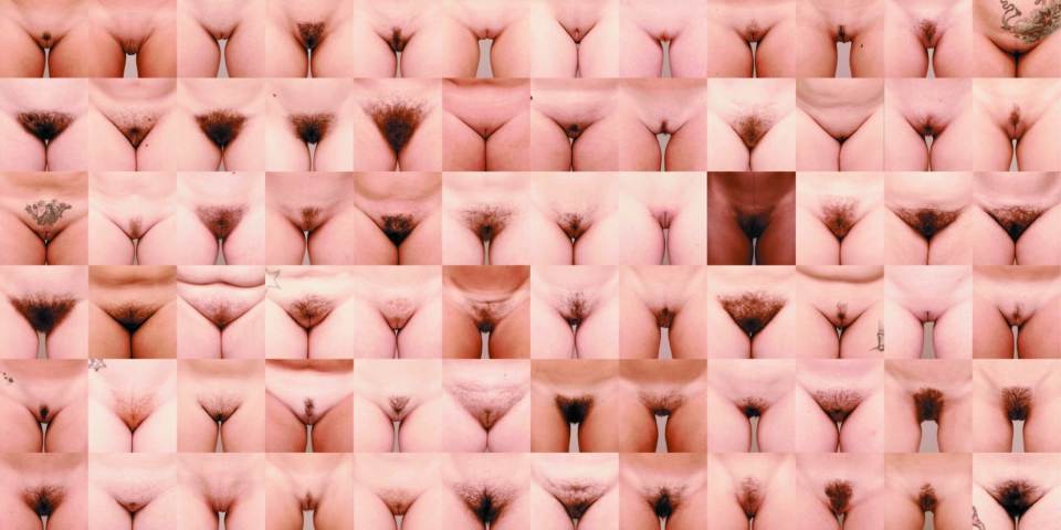 Bikini bridge with bush full size