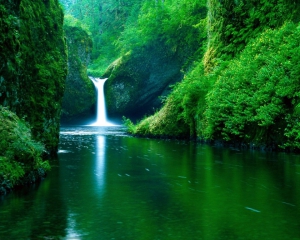 Beautiful green nature 960X768 jpeg