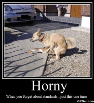 Dog humping duck 406X446 jpeg