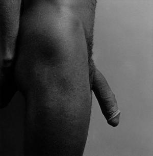 Robert mapplethorpe cock 588X600 jpeg