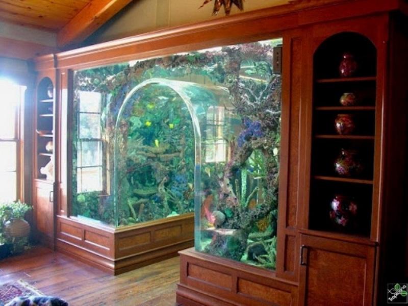 Aquarium fish tank designs full size