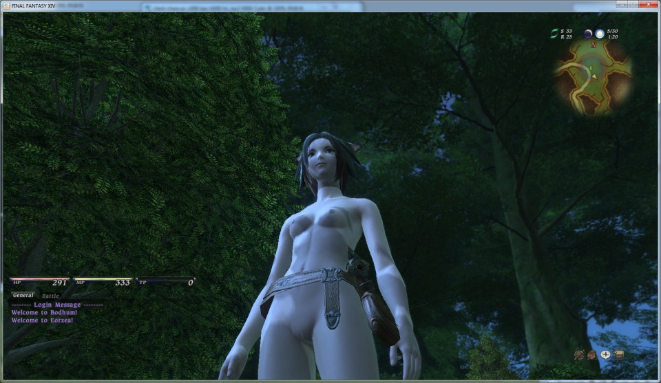 Final fantasy xiv nude patch full size