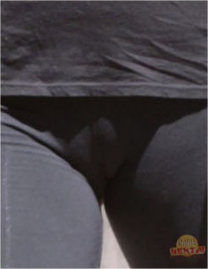 Rebecca romijn camel toe 602X782 jpeg