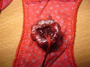 Bloody tampon pussy 700X525 jpeg