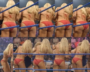 Wwe torrie wilson bikini contest 960X774 jpeg