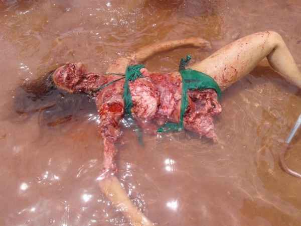 Piranha fish attack victims full size