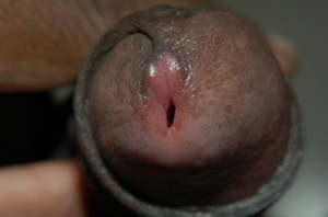 My cock head close up 960X636 jpeg