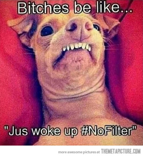 Funny instagram bitches be like full size