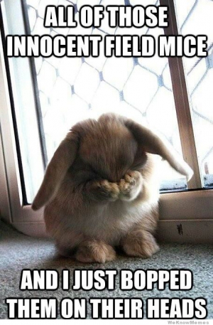 Shy bunny 456X696 jpeg