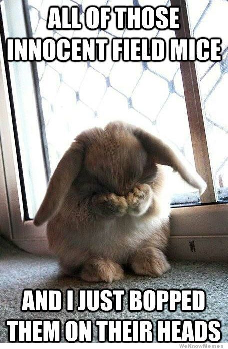 Shy bunny full size