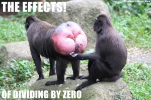 Super funny monkeys 650X433 jpeg
