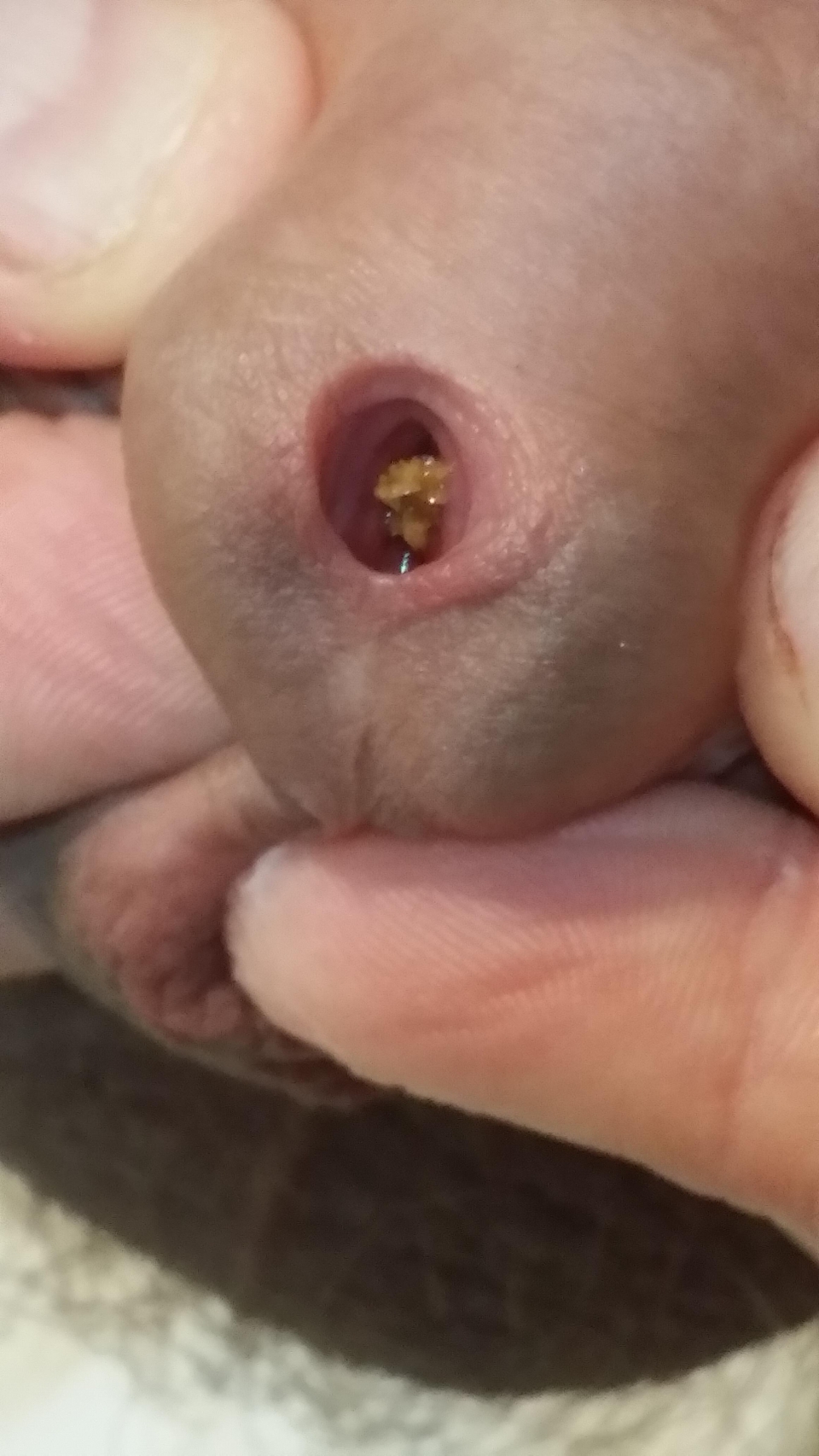 Guys putting their dick s in girls full size