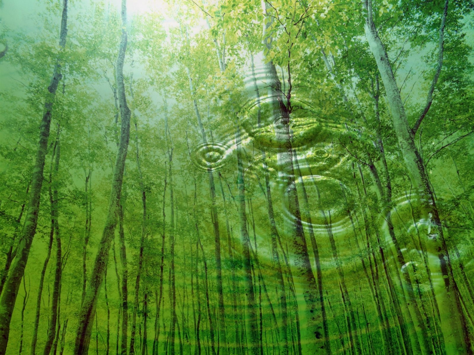 Nature desktop full size
