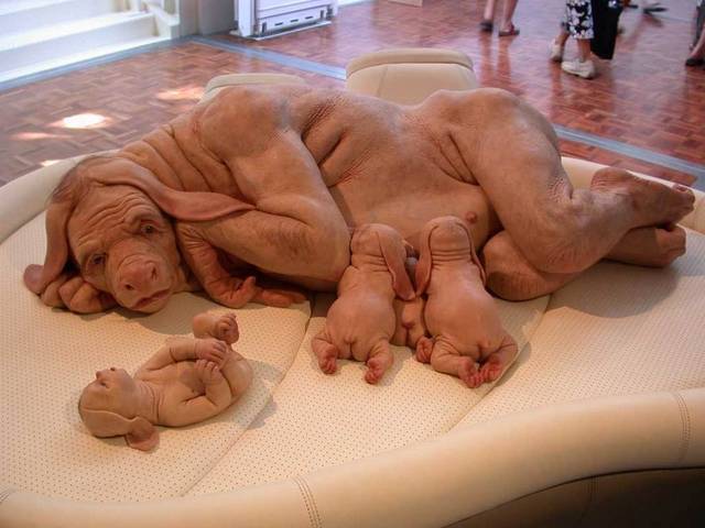 Human dog hybrid full size