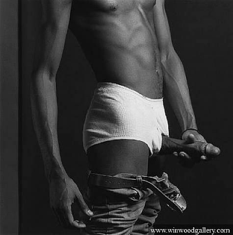 Robert mapplethorpe controversial full size