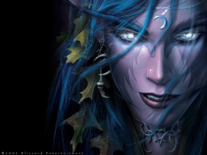 World of warcraft night elf 960X720 jpeg