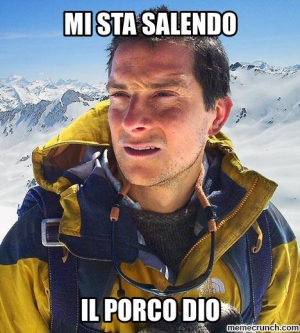Bear grylls meme 468X520 jpeg