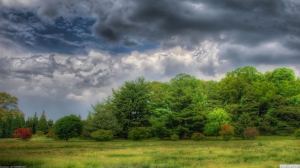Full screen wallpapers for desktop 960X540 jpeg