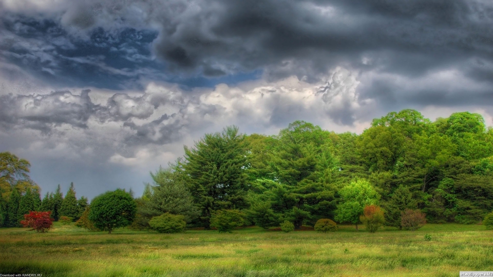 Full screen wallpapers for desktop full size
