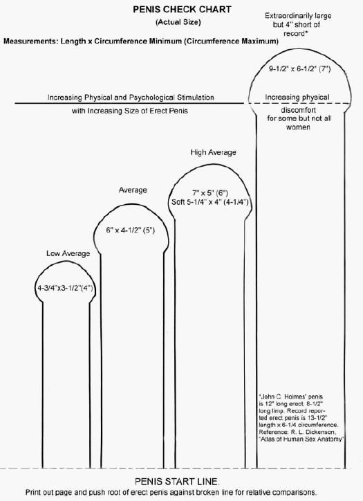 Average penis size chart full size